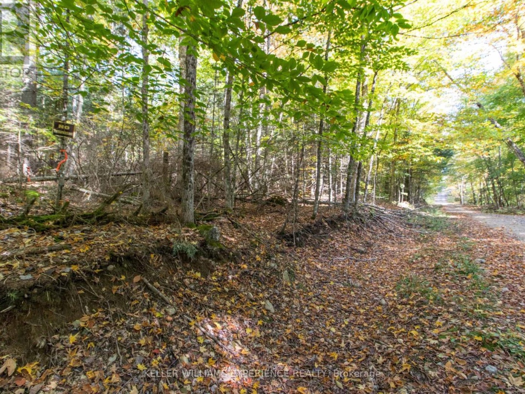 0 LYNX LAKE ROAD, 
