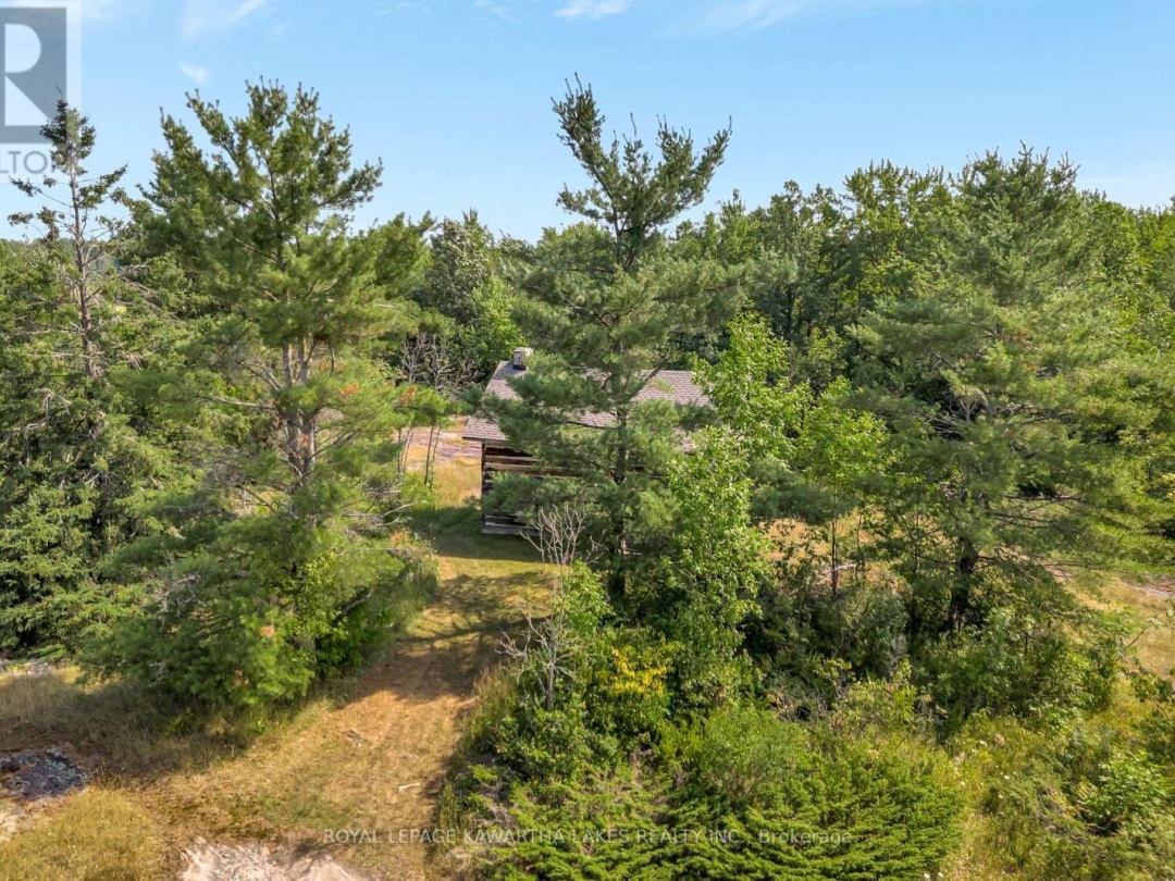 48 MACKENZIE ROAD, 