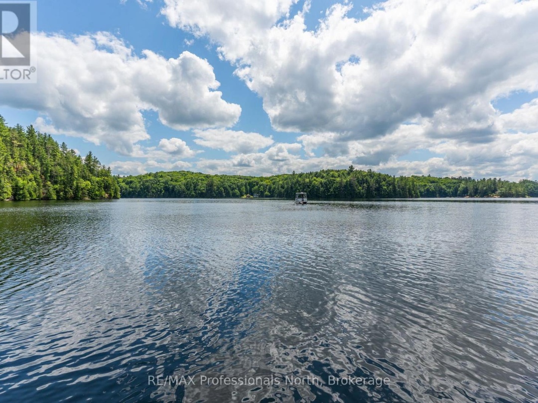 53437 BIG HAWK LAKE, 
