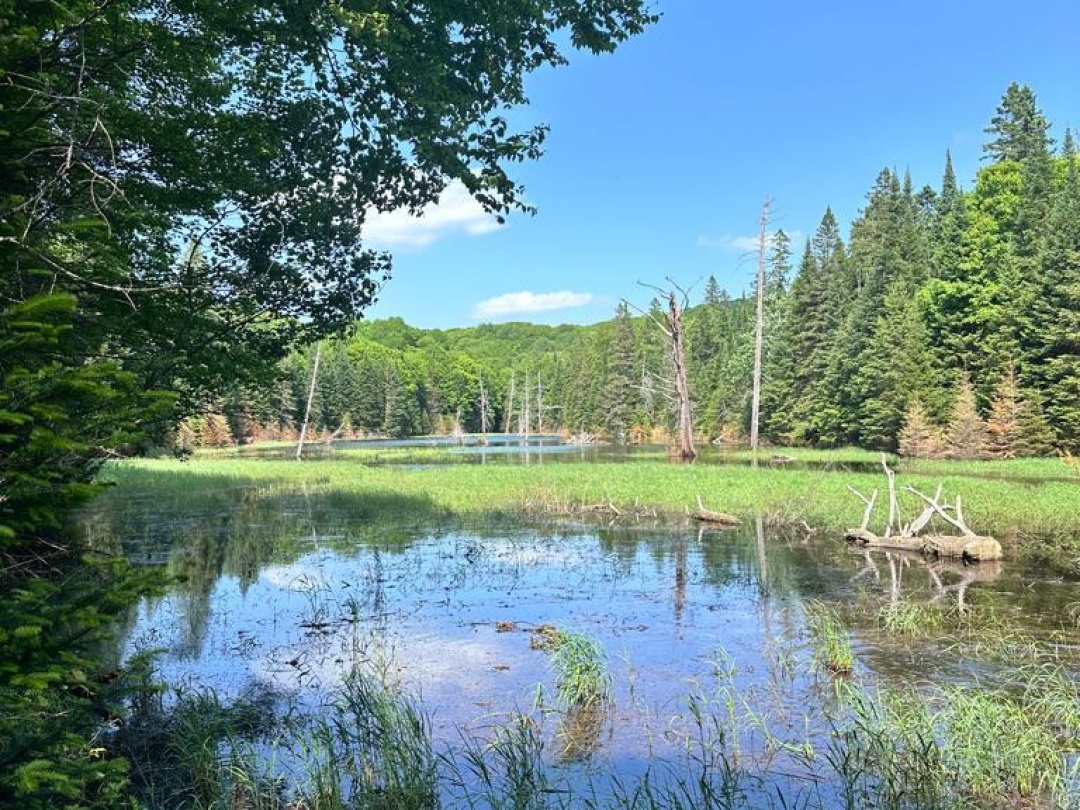 PT LOT 6 CON 10 MONMOUTH MADILL ROAD, 