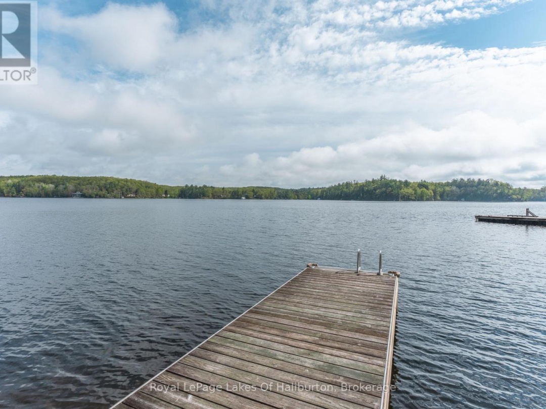 1029 Cam Walt Trail, Gull Lake