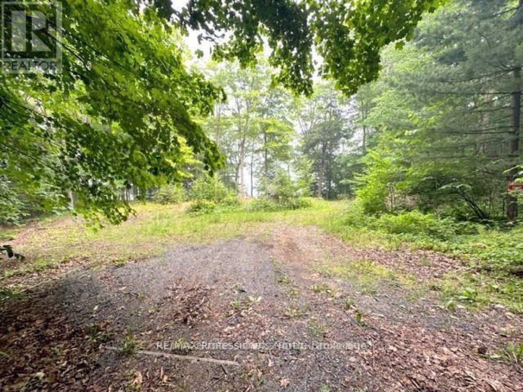 1167 LEON'S LANE, 