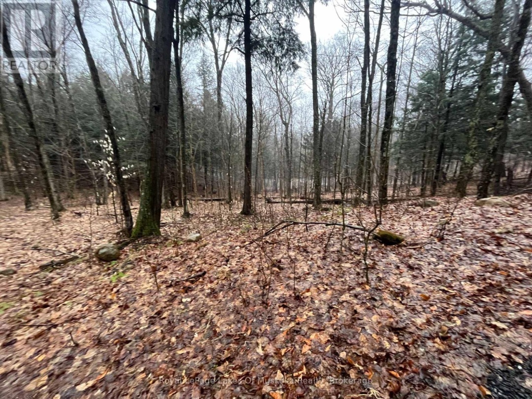 Lot 90 Lookout Point Road, Lake Vernon