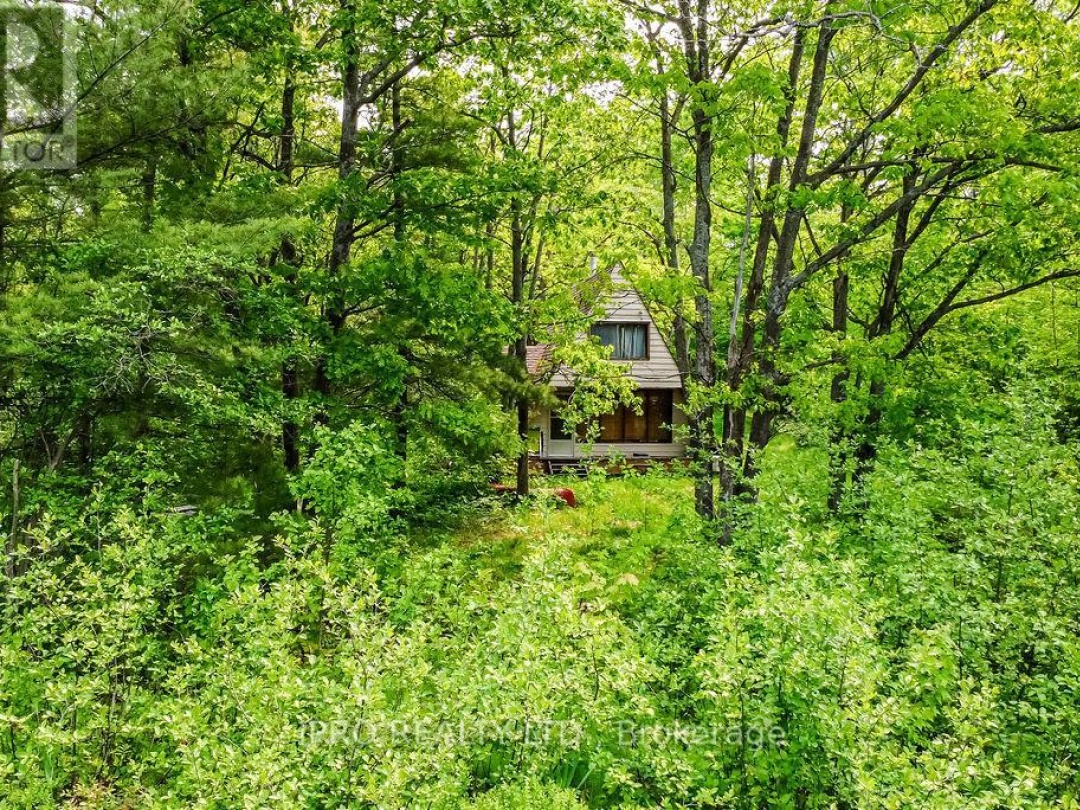 382 Corrievale Road, Little Lake
