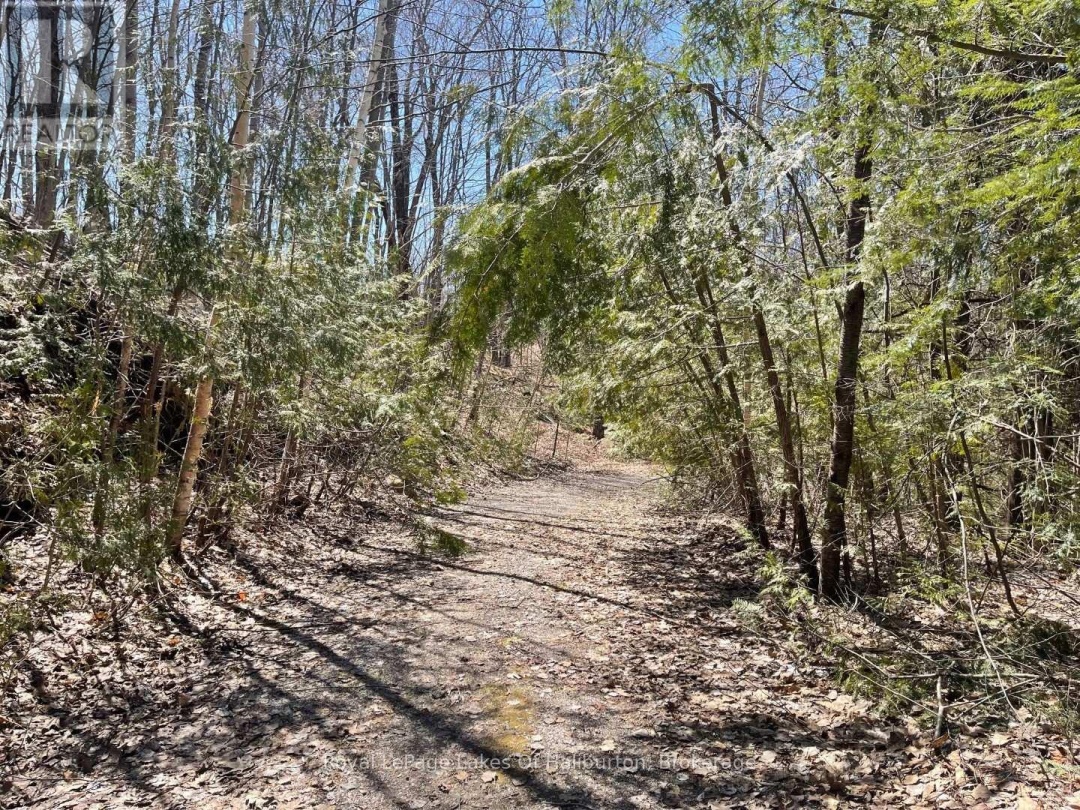 0 Starlight Road, Gull Lake