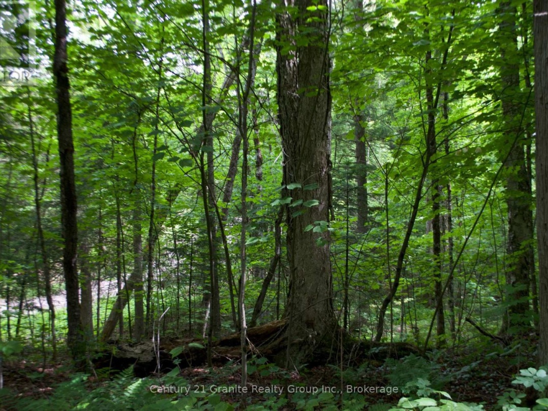 LOT 10 LOON LAKE ROAD S, 