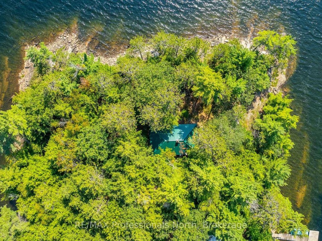 13055 LITTLE HAWK SOUTH SHORE ROAD, 