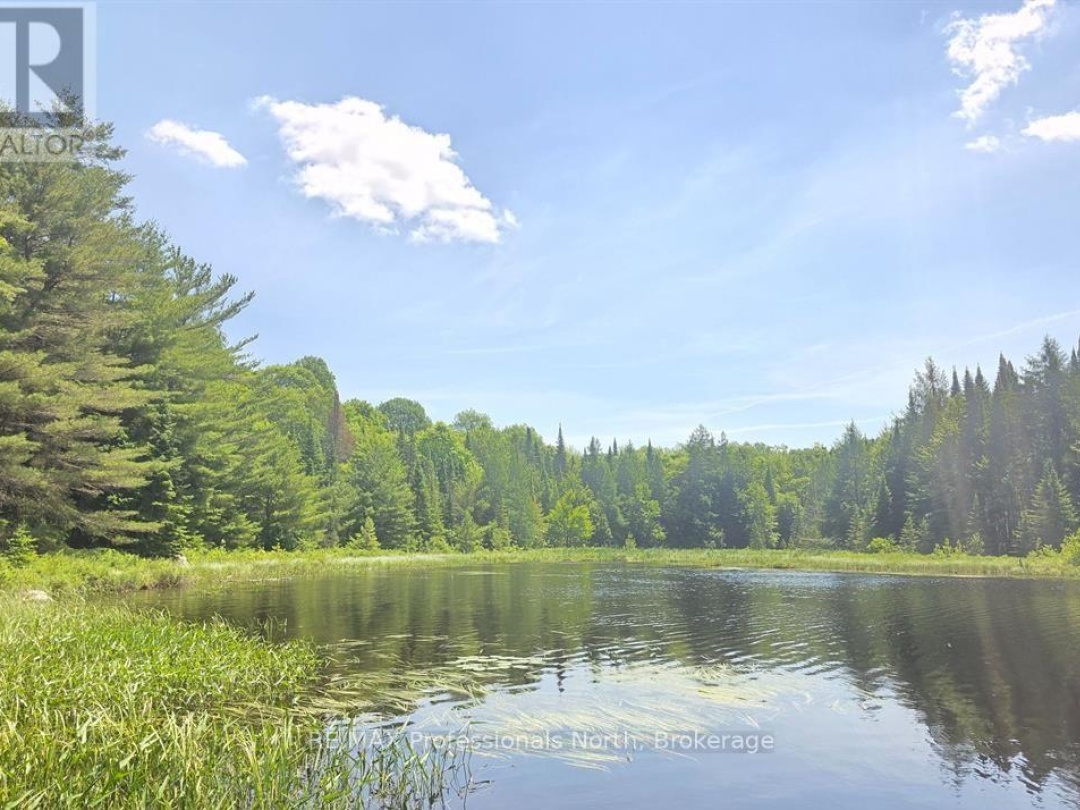 1134 WALKERS LINE ROAD, 