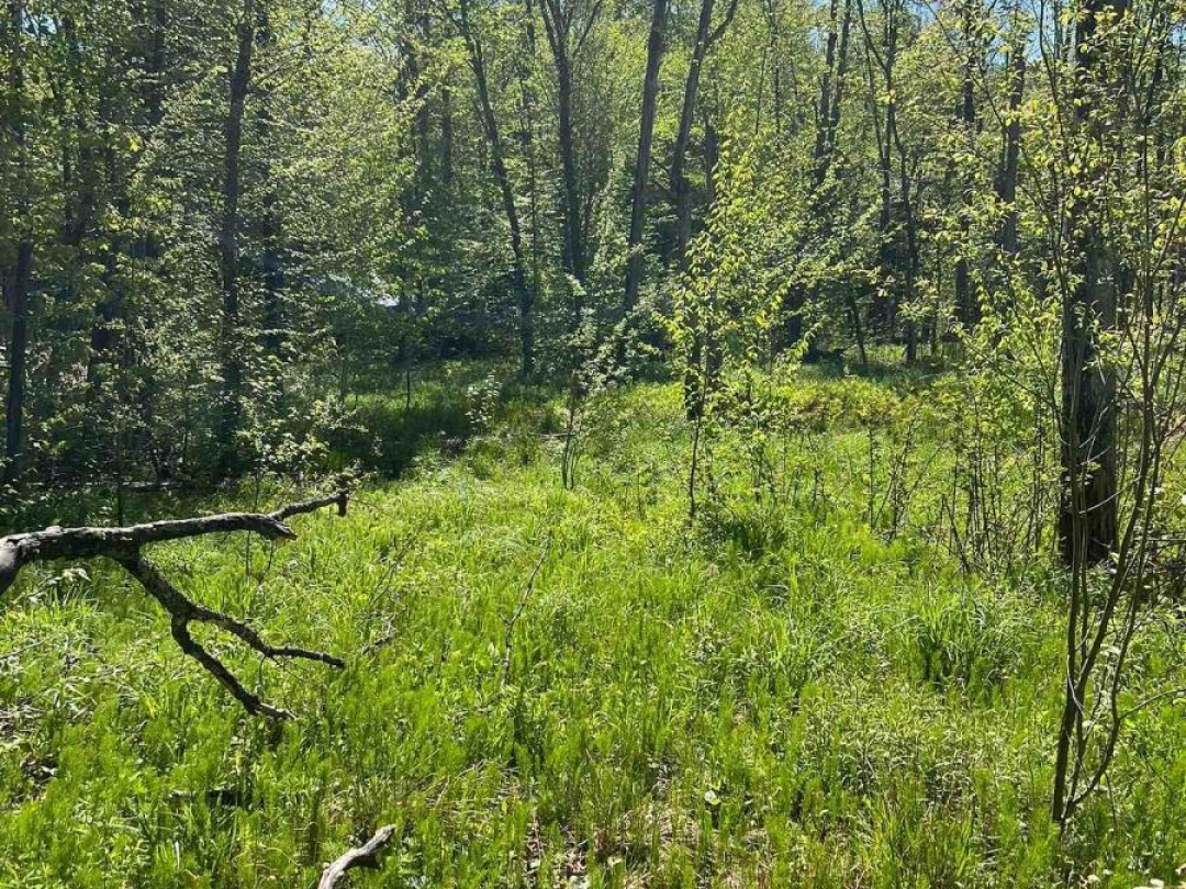 0 TRAPPER'S TRAIL ROAD, 