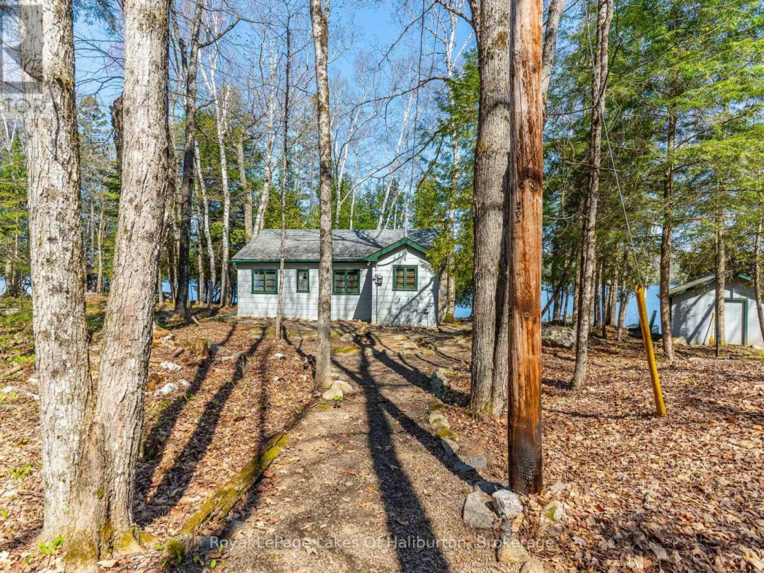 1096 Reg's Trail, Drag Lake