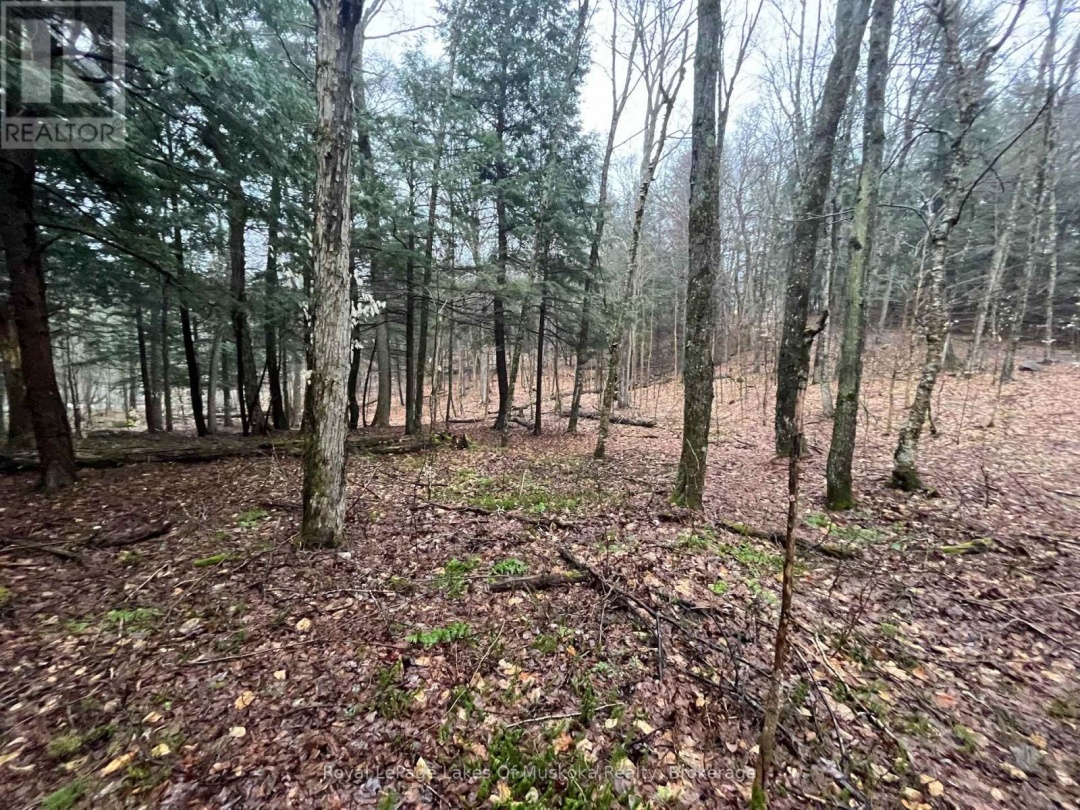 Lot 90 Lookout Point Road, Lake Vernon