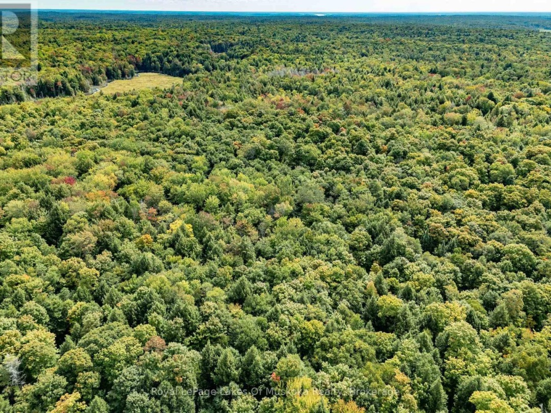 1419 BEATRICE TOWNLINE ROAD, 