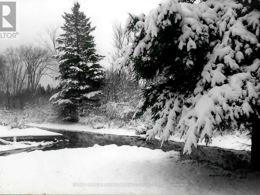 81 Mcguire Beach Road, Trent-severn Waterway
