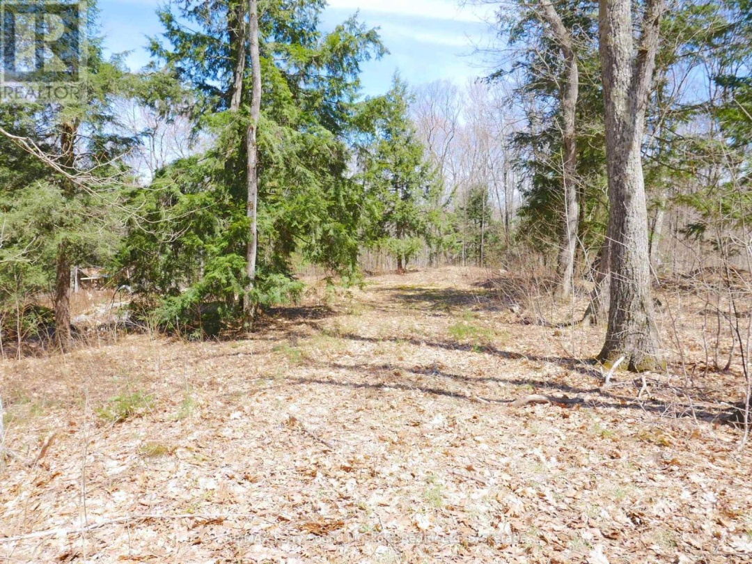 3 GREENWOOD CAMP ROAD, Seguin