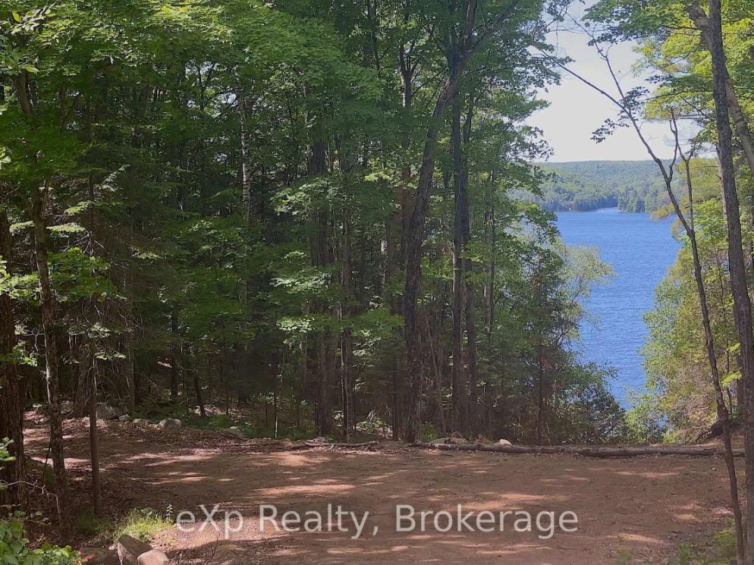 Lot 5 Gonnsen Trail, Drag Lake