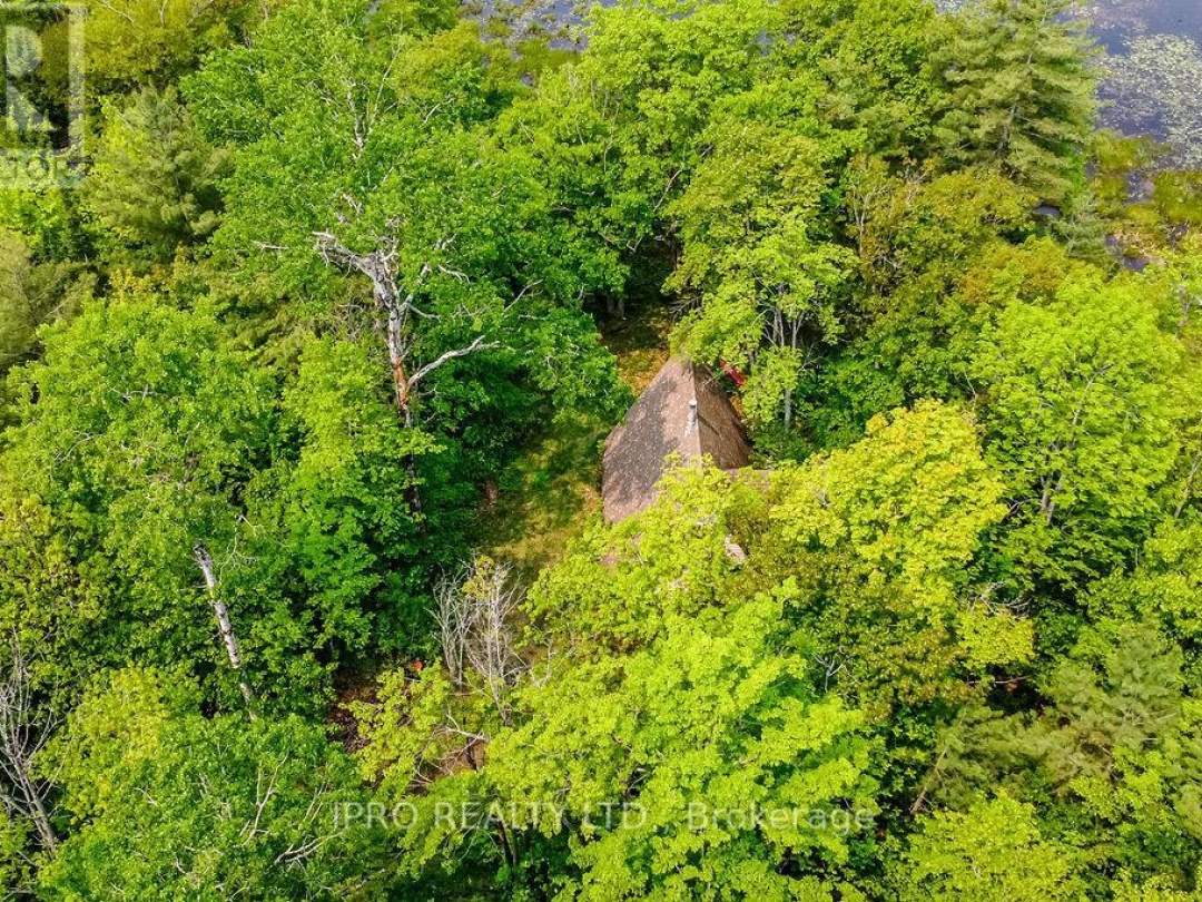 382 Corrievale Road, Little Lake