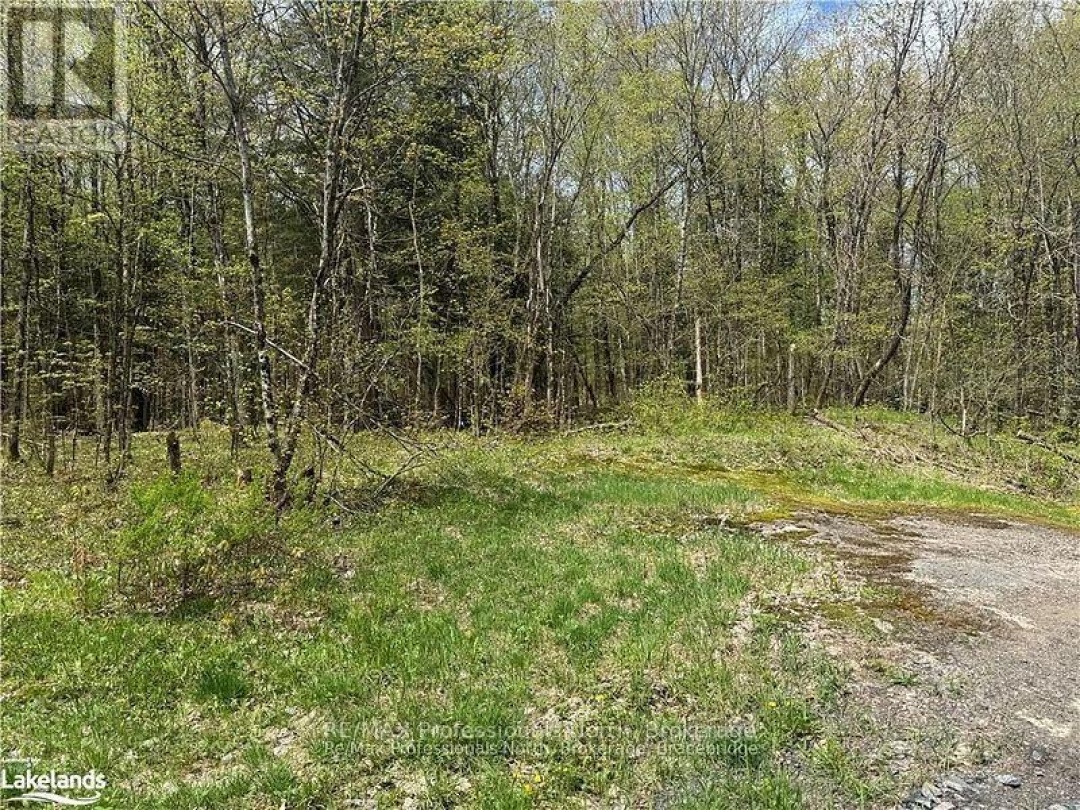 0A Healey Lake Road, Bracebridge (Macaulay)