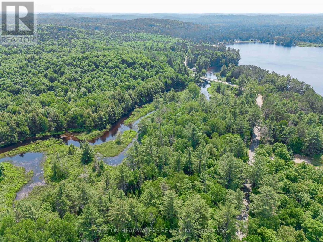 3997 Ravenscliffe Road, Buck Lake