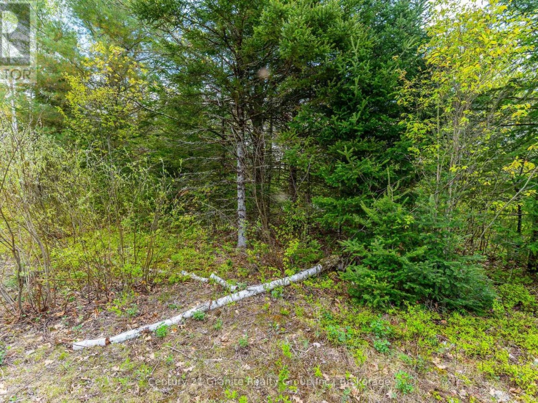 0 Koshlong Lake Road, Burnt Lake