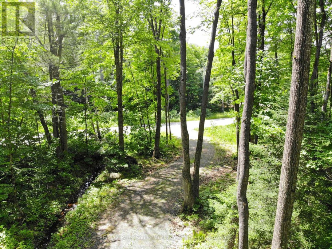 63 Sandy Plains Road, Seguin