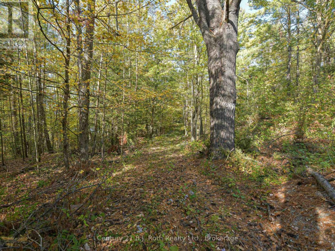 2 - 1112 SAM COOK ROAD,