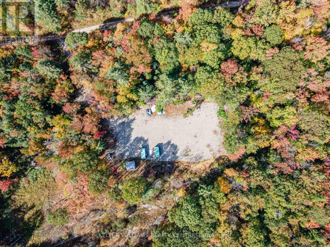3124 SOUTHWOOD ROAD, 