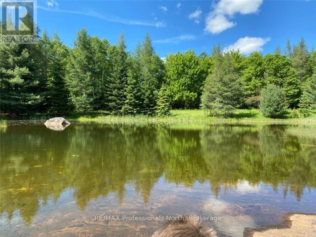204 MINERAL SPRINGS ROAD, 