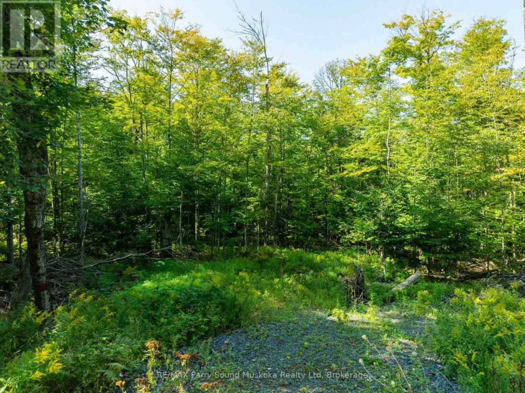 18 BURNSIDE BRIDGE ROAD, 