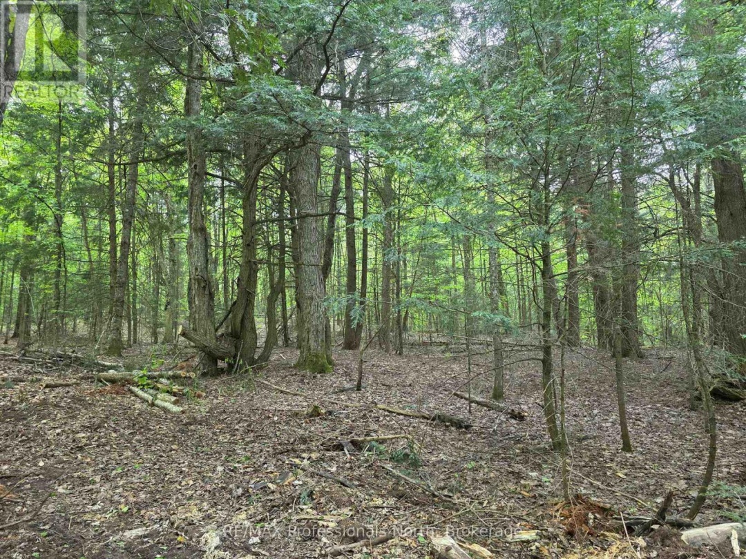 0 25Th Line Road, Algonquin Highlands (Stanhope)