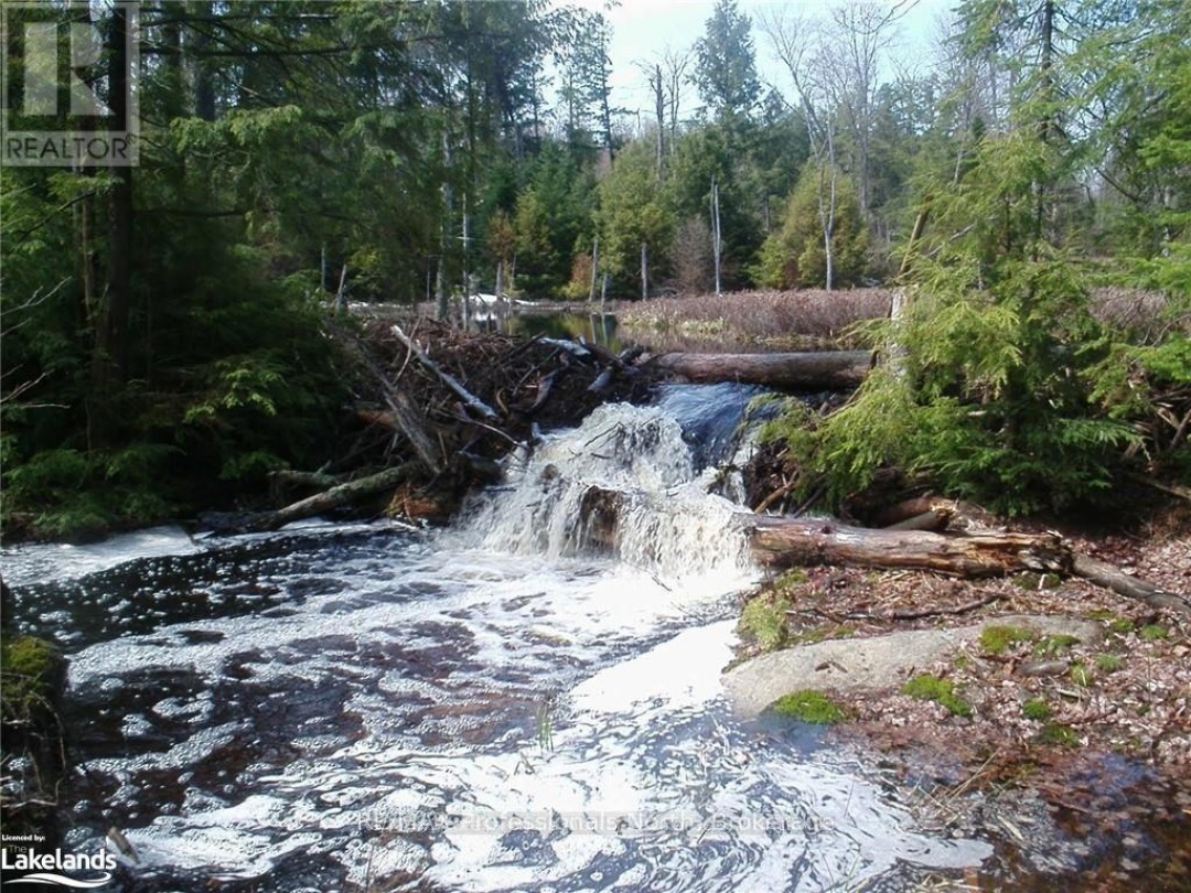 LOT 32 CONCESSION 5, Round Pond
