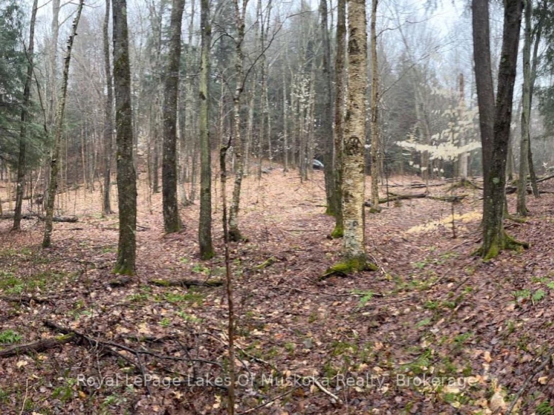 Lot 90 Lookout Point Road, Lake Vernon