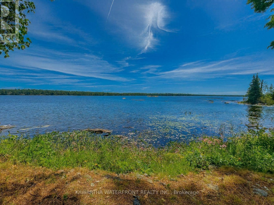 388 NORTH SHORE RD ROAD, 