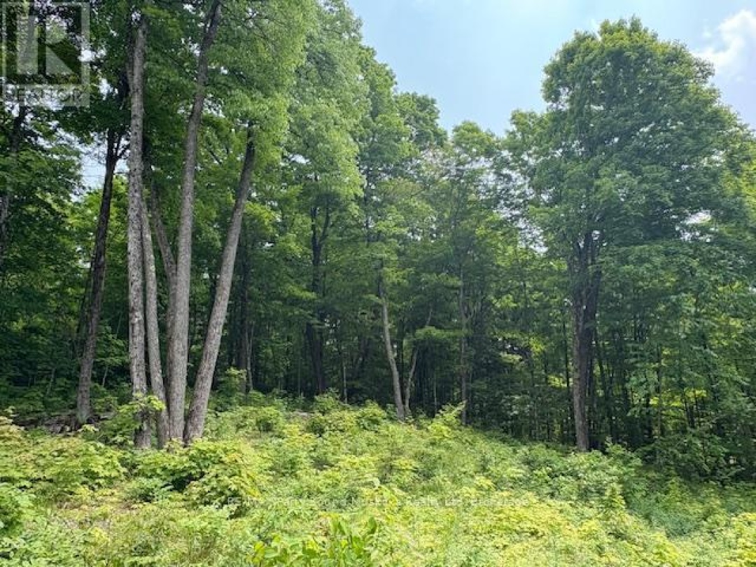 0 Loucks Road, Seguin