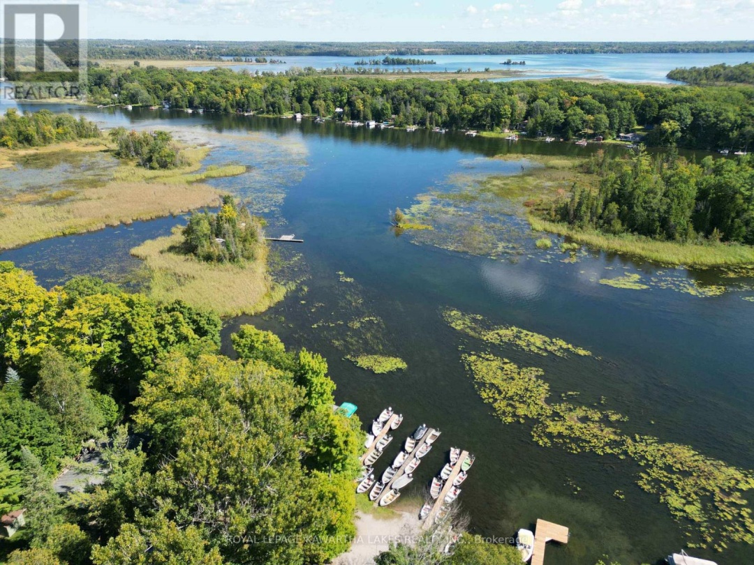 34 Deweys Island, Cameron Lake
