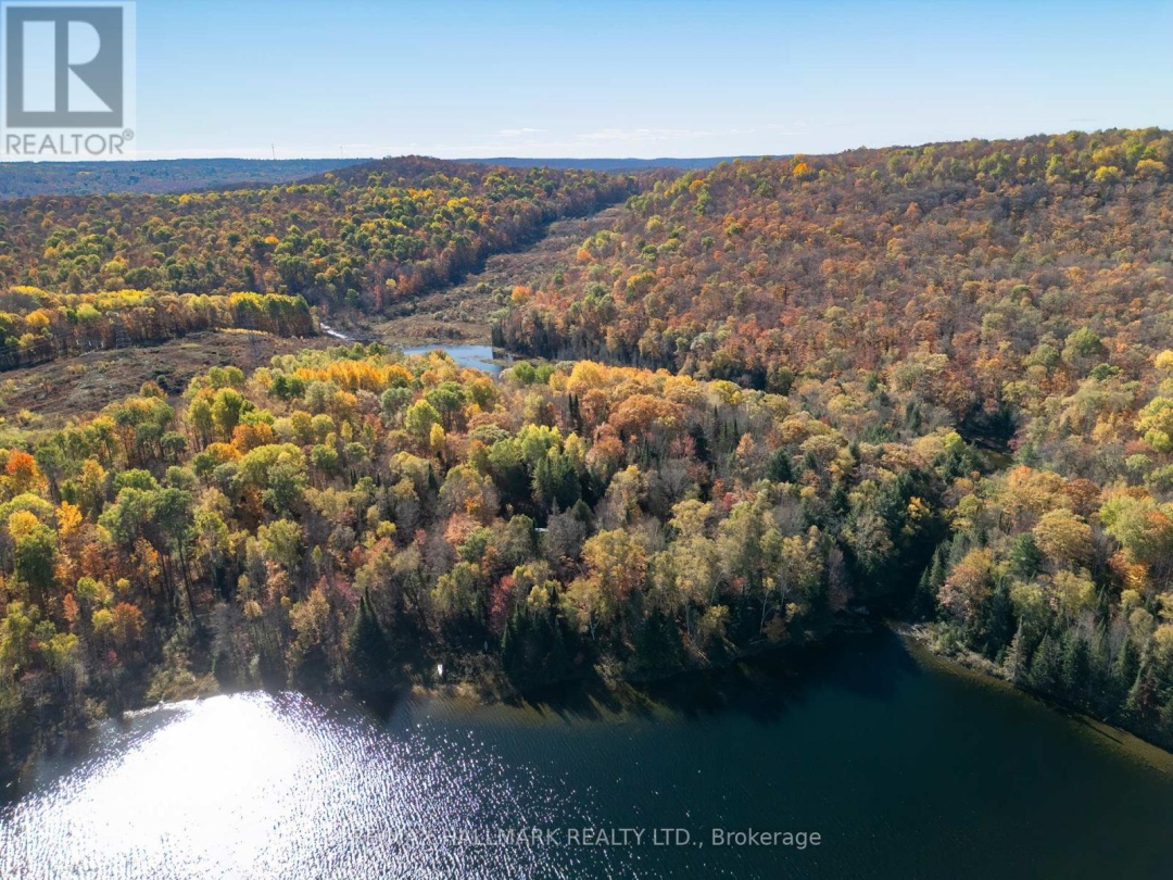 3517 HALIBURTON LAKE ROAD, 