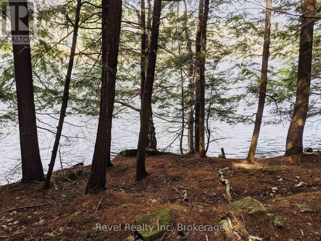 88 LOUISA STREET, Seguin Lake