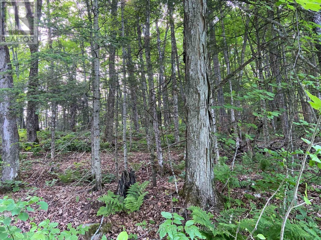 1549 TRAPPERS TRAIL ROAD, 