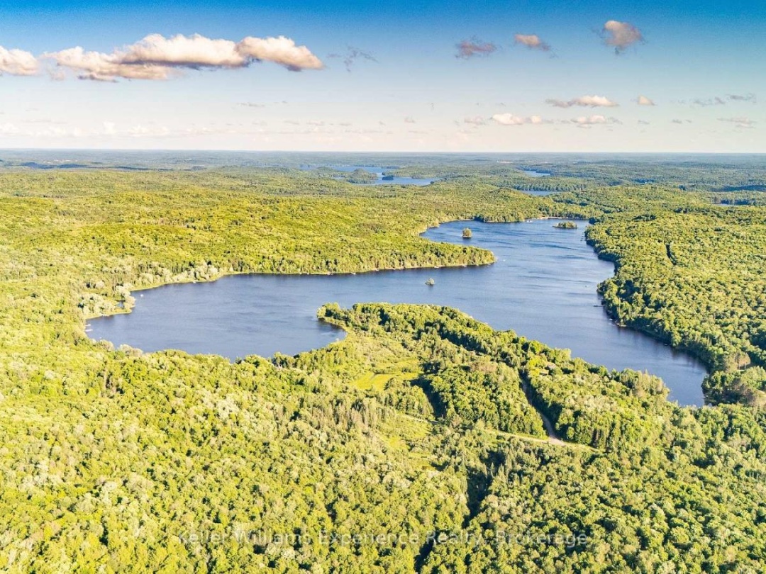 344 NORTH FOX LAKE ROAD, 