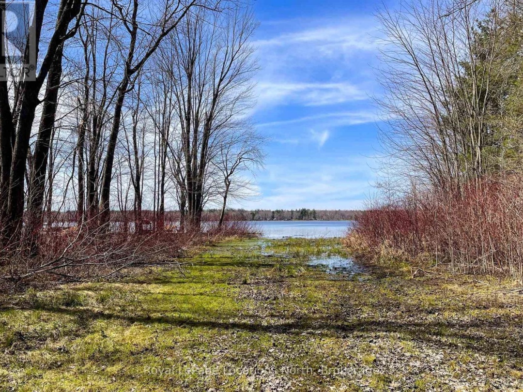 239 Monck Rd Cty 45, Young Lake