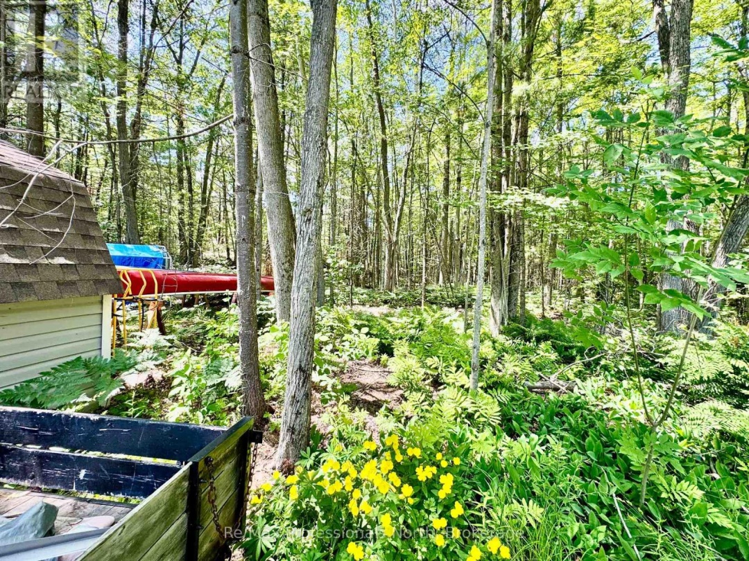 39 - 1007 RACOON ROAD, 