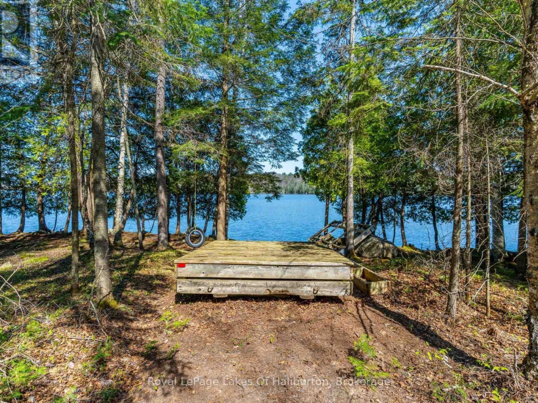1096 Reg's Trail, Drag Lake