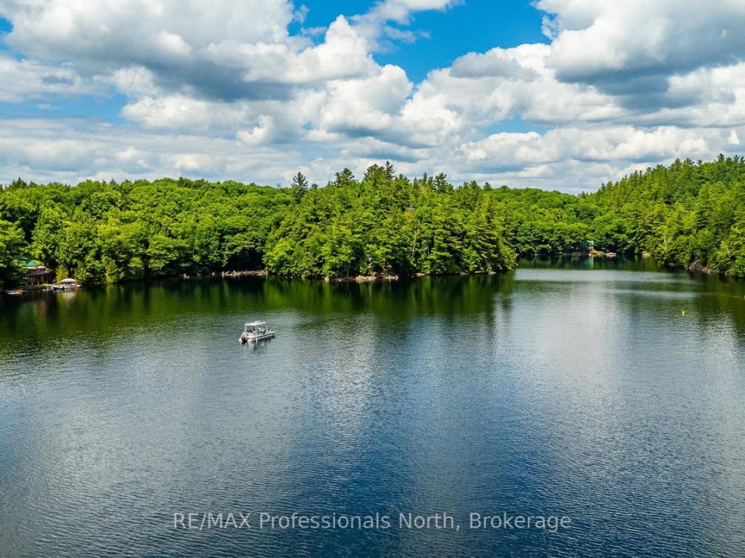 53437 BIG HAWK LAKE, 