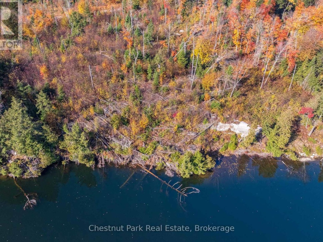 1031 CARL FISHER DRIVE, 