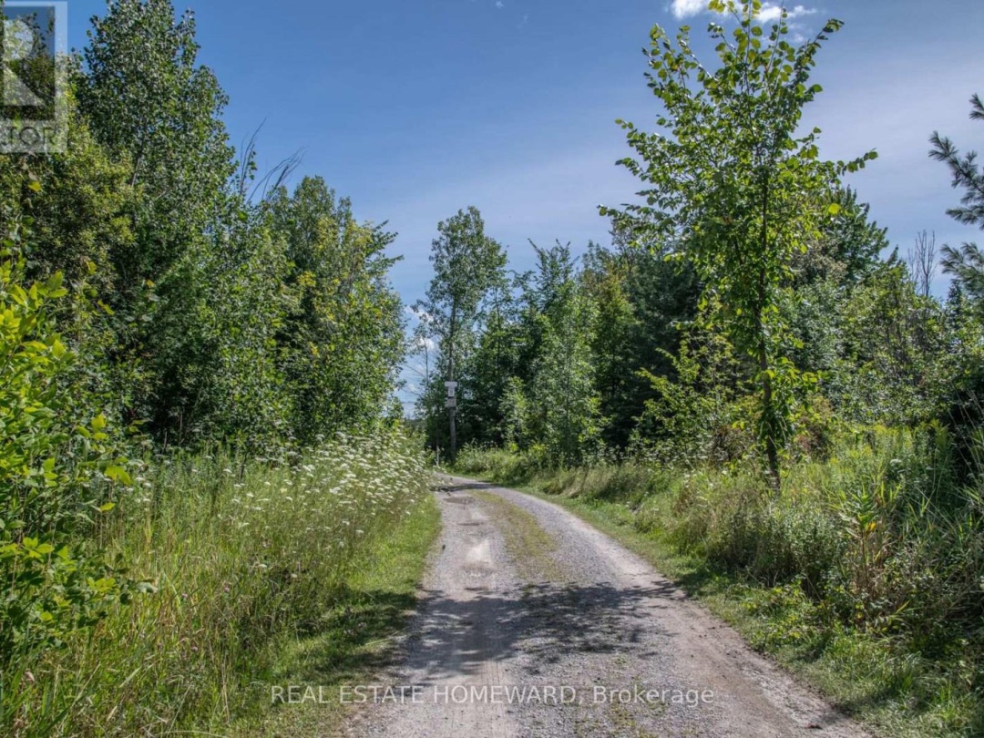 LOT 256 MCGUIRE BEACH ROAD, 