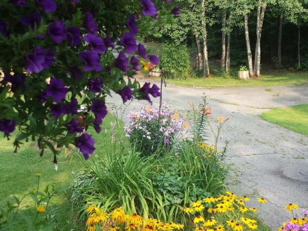 1046 LUTTERWORTH PINES ROAD, 