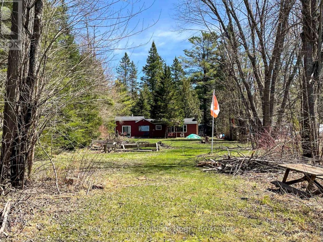 239 Monck Rd Cty 45, Young Lake