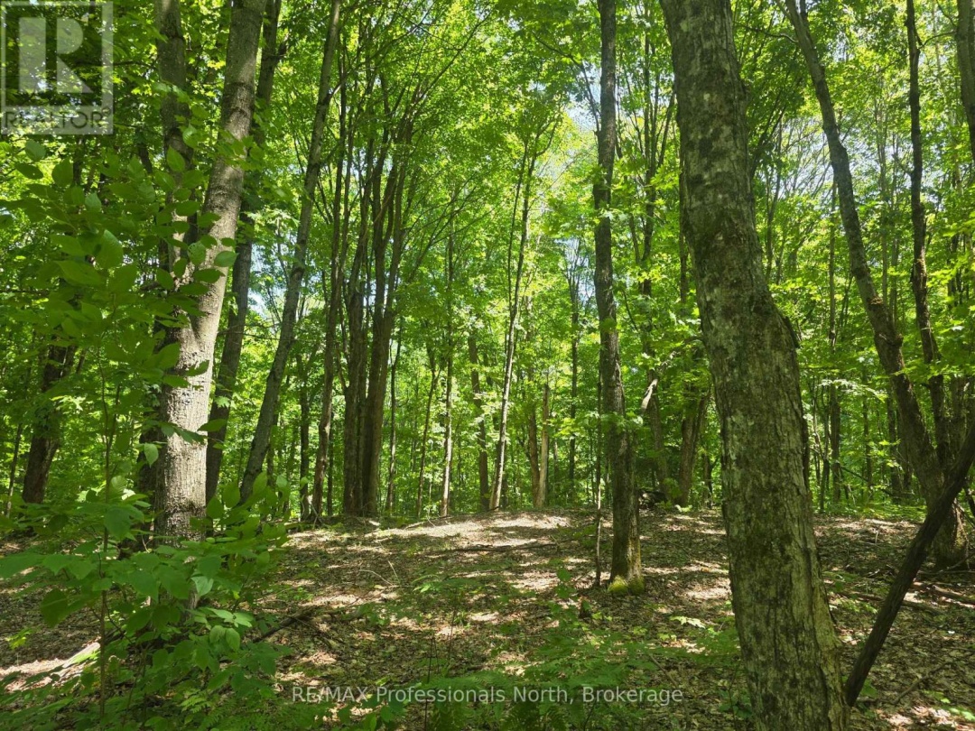 1134 WALKERS LINE ROAD, 