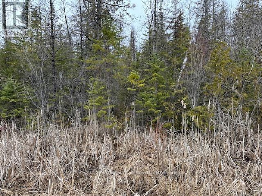 0 LAXTON BOUNDARY LINE, 