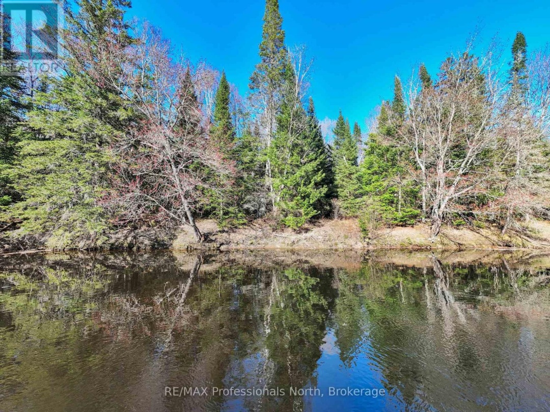 1273 Williamsport Road, Big East Lake