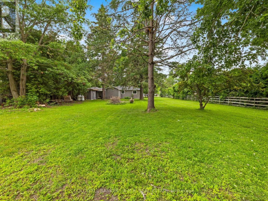 15 HAZEL STREET, 